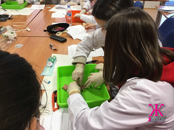 practica higiene bucodental practica higiene bucodental