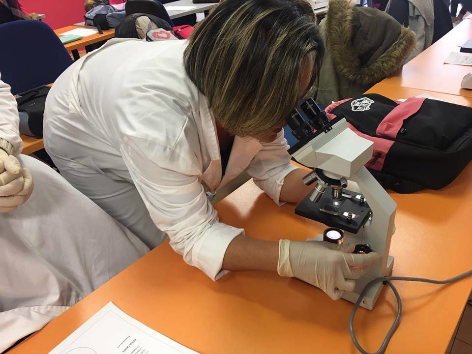 Qué Estudiar para Trabajar en un Laboratorio: La Guía Definitiva con 15 Claves para tu Futuro Profesional