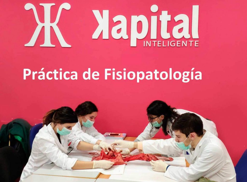 Practica de Fisiopatologia