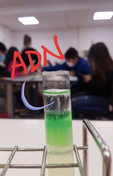 extracción de adn